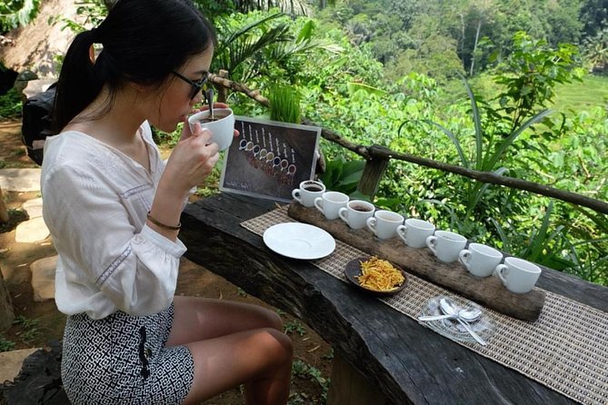 Ubud Tour with Swing, Temple, Monkey Forest, and Waterfall - The coffee and tea stop: useful, but know the rhythm