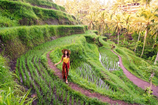 Ubud Tour with Swing, Temple, Monkey Forest, and Waterfall - Monkey Forest: temples, jungle, and macaques