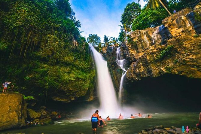 Ubud Trip, The Best of Ubud in a day - All Inclusive - Tirta Empul and Balinese purification