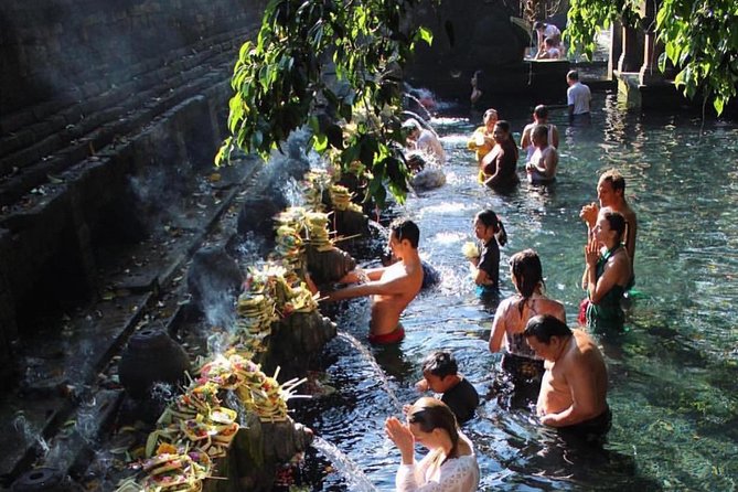 Ubud Trip, The Best of Ubud in a day - All Inclusive - The private car and guide make the difference