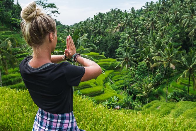 Ubud Volcano Lake and Natural Hot Spring Tour - Tegalalang Rice Terrace: a quick look at Bali’s farming country