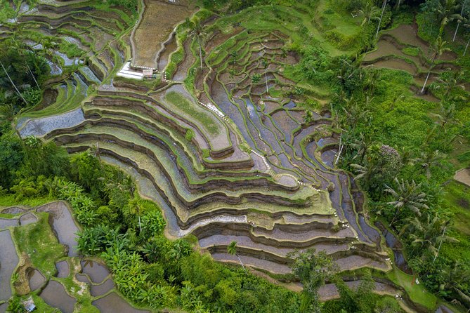 Ubud Volcano Lake and Natural Hot Spring Tour - Is $35 good value for a ten-hour day?