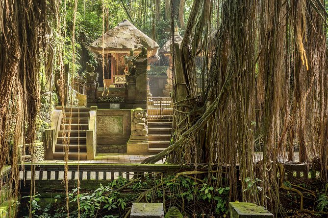 Ubud: Waterfall, Rice Terraces, and Monkey Forest Private Tour - The art market adds a short local shopping stop