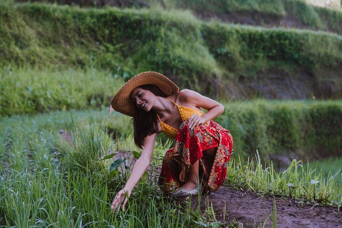 Ubud: Waterfall, Rice Terraces, and Monkey Forest Private Tour - Tegalalang explains how the rice terraces work