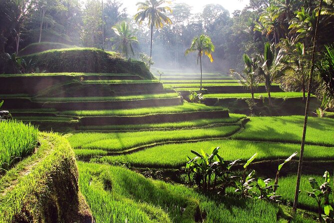 Ubud: Waterfall, Rice Terraces, and Monkey Forest Private Tour - Tegenungan Waterfall closes the day with water and rock