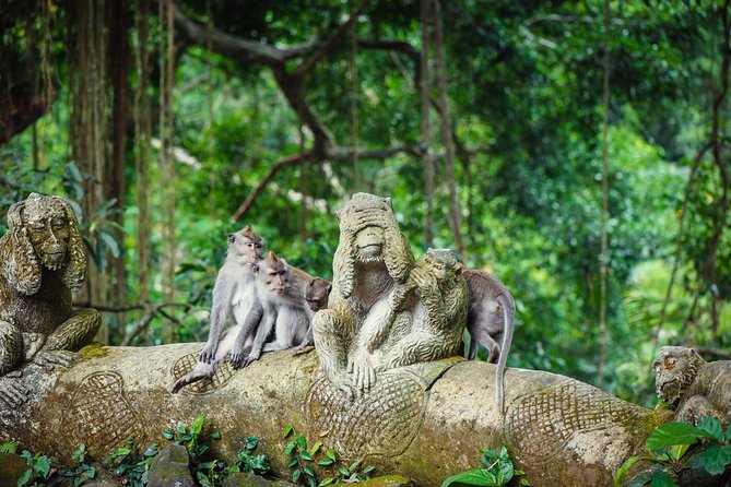 Ubud: Waterfall, Rice Terraces, and Monkey Forest Private Tour - Monkey Forest brings you close to macaques