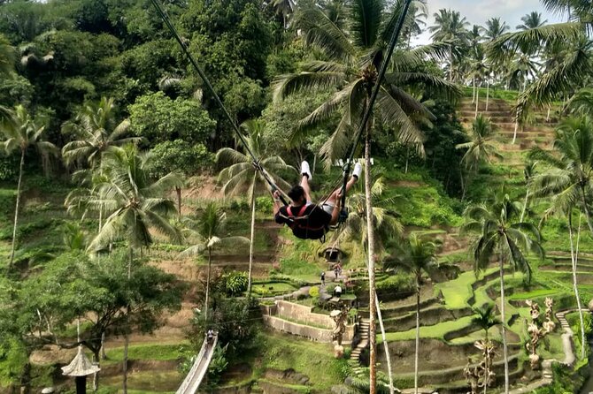 Ubud Waterfall Swing And Spring Temple Private Guided Tour - Tirta Empul: the day’s most meaningful stop