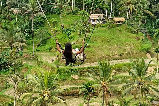 Ubud Waterfall Swing And Spring Temple Private Guided Tour - Tampaksiring: a quieter village pause