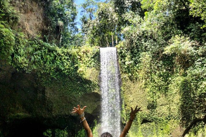 Ubud Waterfalls, Rice Terrace & Jungle Swing - Private Tour - Transport, pickup, and the value of the price