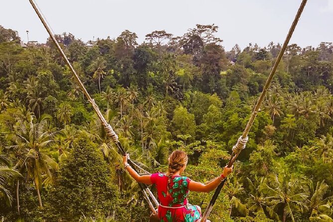 Ubud Waterfalls, Rice Terrace & Jungle Swing - Private Tour - The guides can shape the whole day