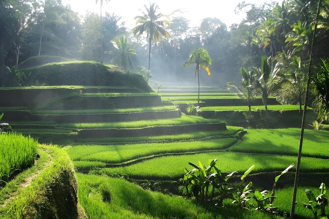 Ubud: Waterfalls, Water Temple & Rice Terraces Private Tour - Tirta Empul and Bali’s sacred spring water