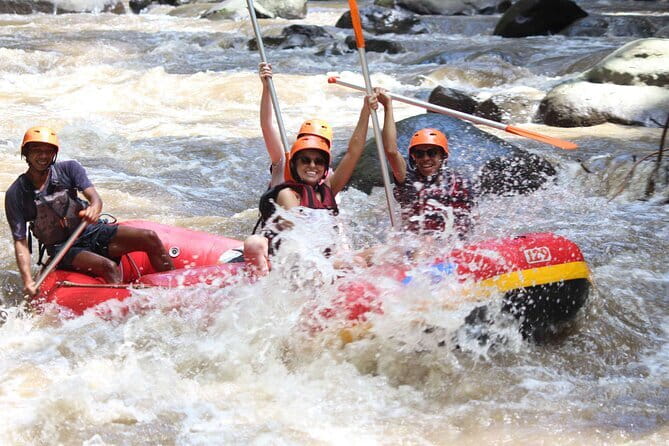 Ubud White Water Rafting with Buffet Lunch - Paddling through rapids, waterfalls, and carved walls