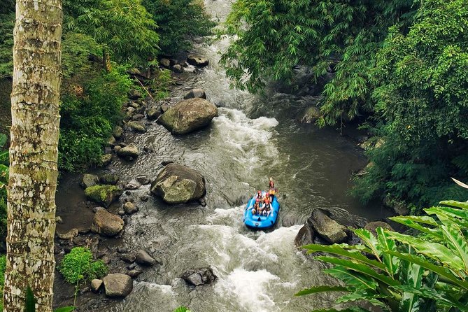 Ubud White Water Rafting with Waterfall and Lunch - A scenic introduction to Ayung River rafting