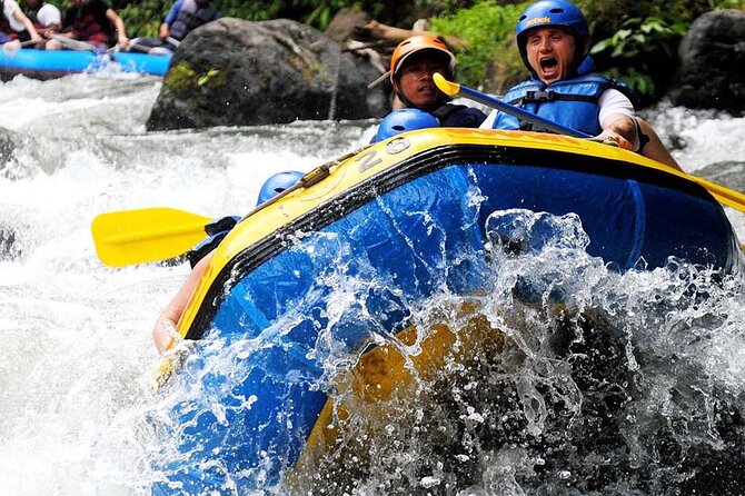 Ubud White Water Rafting with Waterfall and Lunch - Two hours through cliffs, jungle, and waterfalls