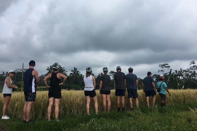 Ubud Wonderful Half Day Downhill Cycling Tour with Lunch - What the $45 Price Covers