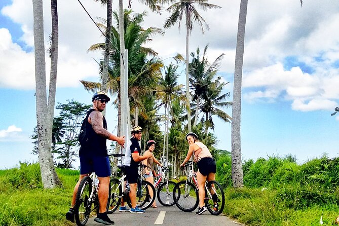 Ubud Wonderful Half Day Downhill Cycling Tour with Lunch - Booking, Weather, and Cancellation Notes