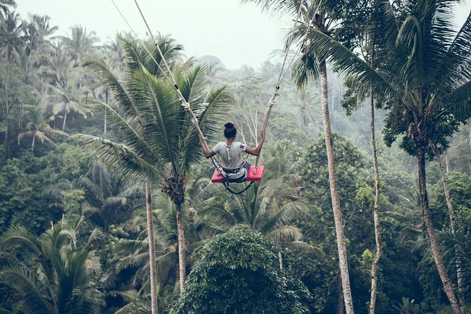 Ultimate Ubud - Starting With Coffee at Luwak Coffee Bali Plantation