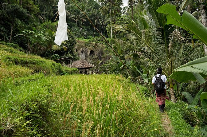 UNESCO Sites Cultural Walking Tour in Bali - Why the Tirta Empul ritual gives this tour its purpose