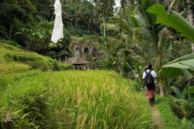 UNESCO Sites Cultural Walking Tour in Bali