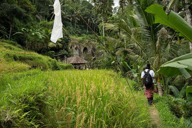 UNESCO Sites Cultural Walking Tour in Bali - Breakfast and lunch turn the middle of the day into a local pause