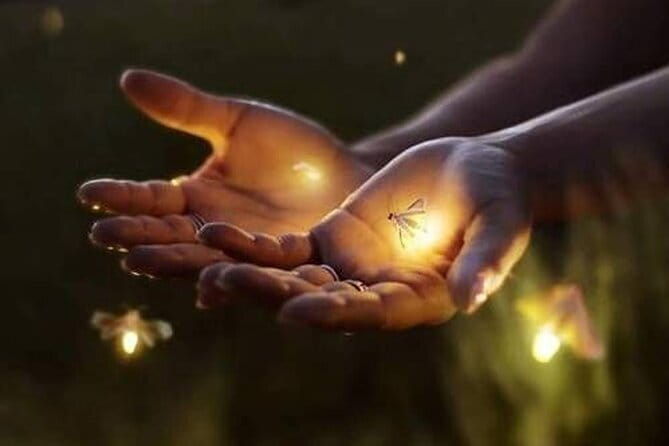 VIllage Firefly Night Tour - Ubud Bali - Starting near Pura Dalem Puri Peliatan