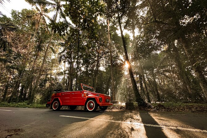 Vintage Volkswagen Bali Tour - Tegenungan Waterfall: a short stop with a swim option