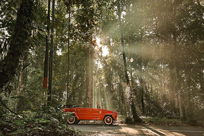Vintage Volkswagen Bali Tour - What the six-hour schedule is really worth