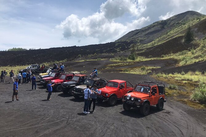 Volcano Jeep Adventure and Ubud Tour - The d’Alas jungle swing