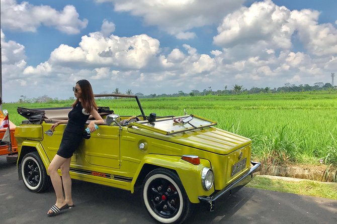 VW Safari,Bayan Ancient Tree,Jatiluwih,Wanagiri,Banyumala Twin Waterfalls - Key points at a glance