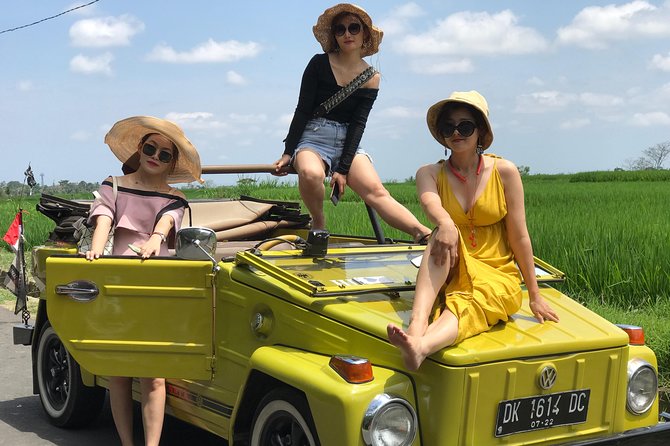 VW Safari,Bayan Ancient Tree,Jatiluwih,Wanagiri,Banyumala Twin Waterfalls - Is $89 good value?