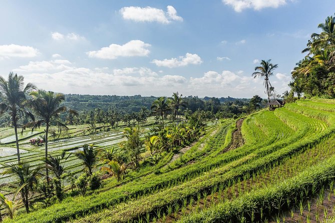 West Bali Tour: Taman Ayun, Ulun Danu Beratan, Jatiluwih Rice Terrace, Tanah Lot - Jatiluwih is the day’s most peaceful walk