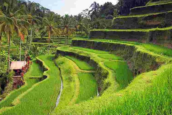Wonderful Of Ubud Tours - Celuk Village and Bali’s silver tradition