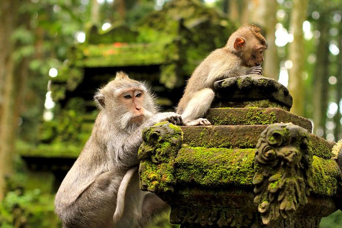 Wonderful Of Ubud Tours - Batubulan, the final craft village