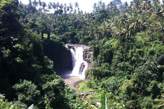 Wonderful Of Ubud Tours - Tegenungan Waterfall, the day’s longest stop